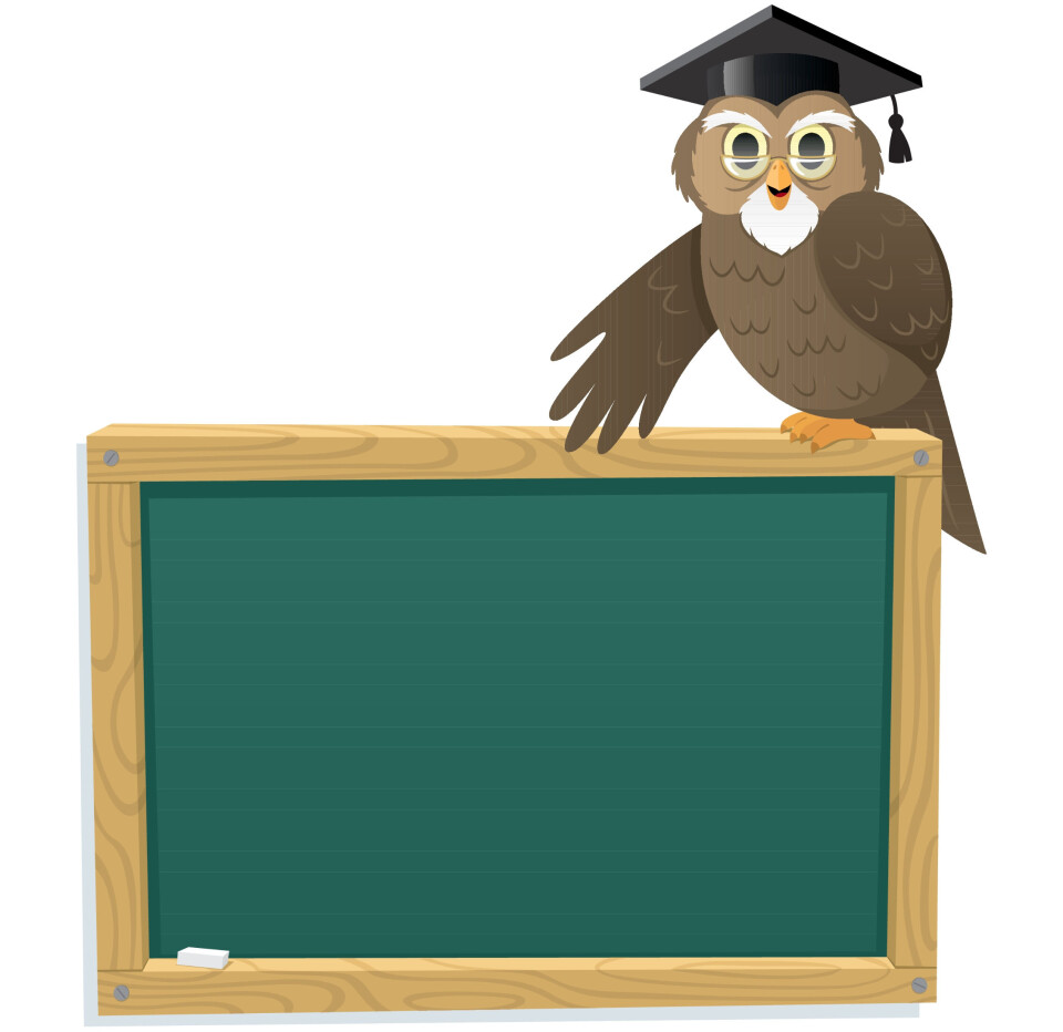 Tavlemøter kan avholdes fysisk eller digitalt. Her kan de ansatte ta opp små og store forhold i arbeidshverdagen. Tegning av «klok» ugle som underviser ved krittavle