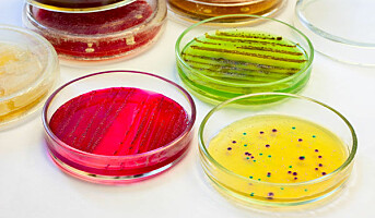 Bakterier florerer på jobben