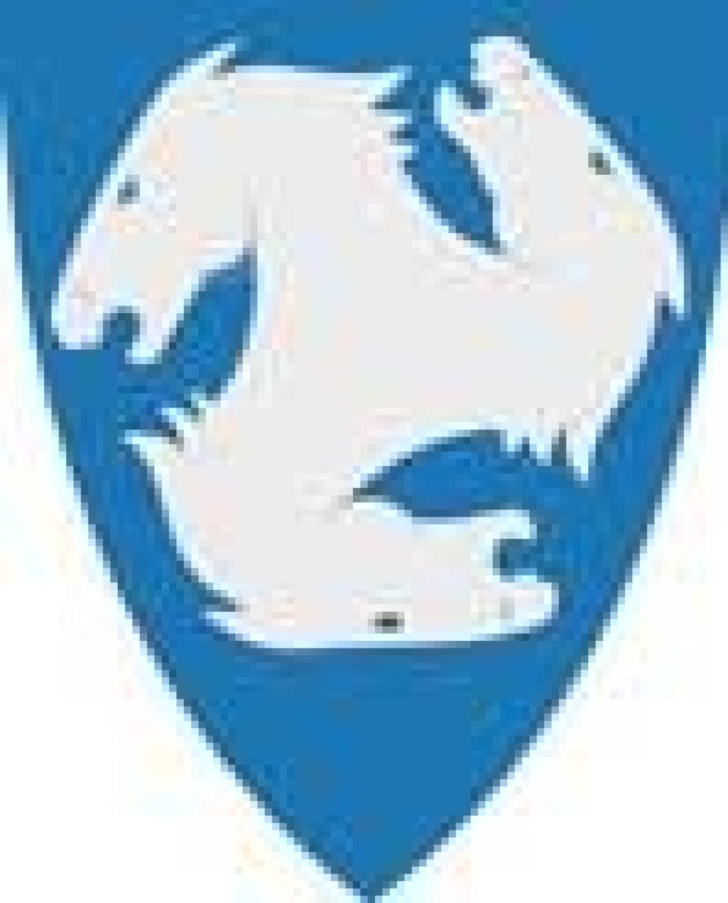 skikommune-vapen_liten skikommune-vapen_liten