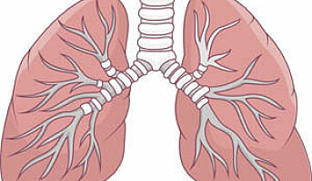 Ny lungemodell skal øke vår viten om partiklers effekt