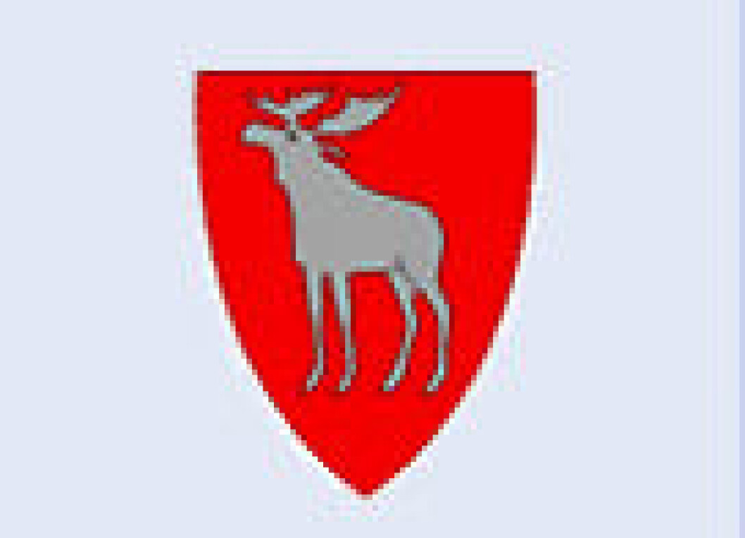 ringsaker_logo ringsaker_logo