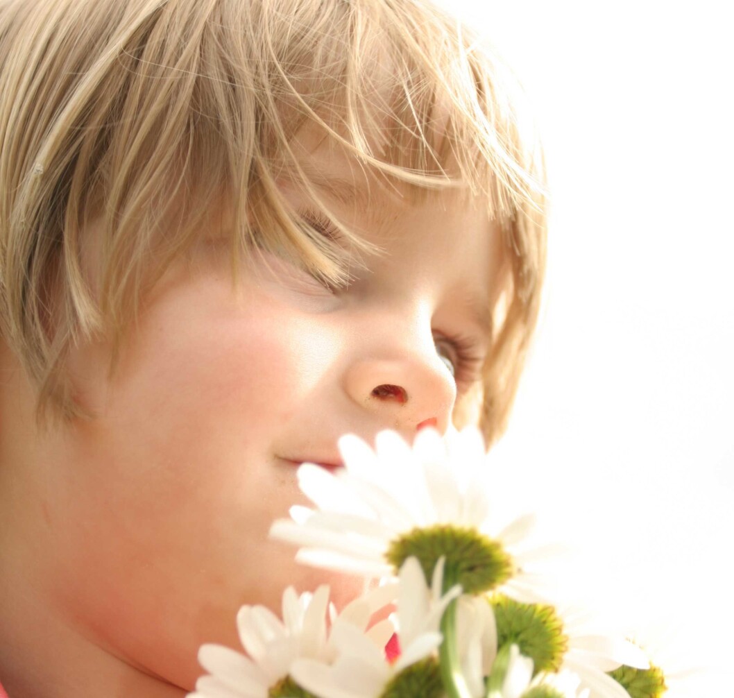 barnogblomster barnogblomster