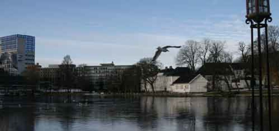 Breiavatnet-i-Stavanger Breiavatnet-i-Stavanger