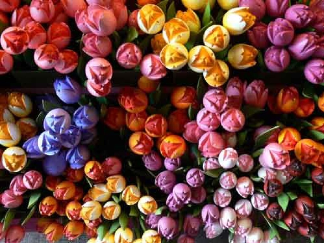 tulipaner2colourbox604720 tulipaner2colourbox604720