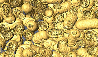 Kunstig nanoezym dreper bakterier