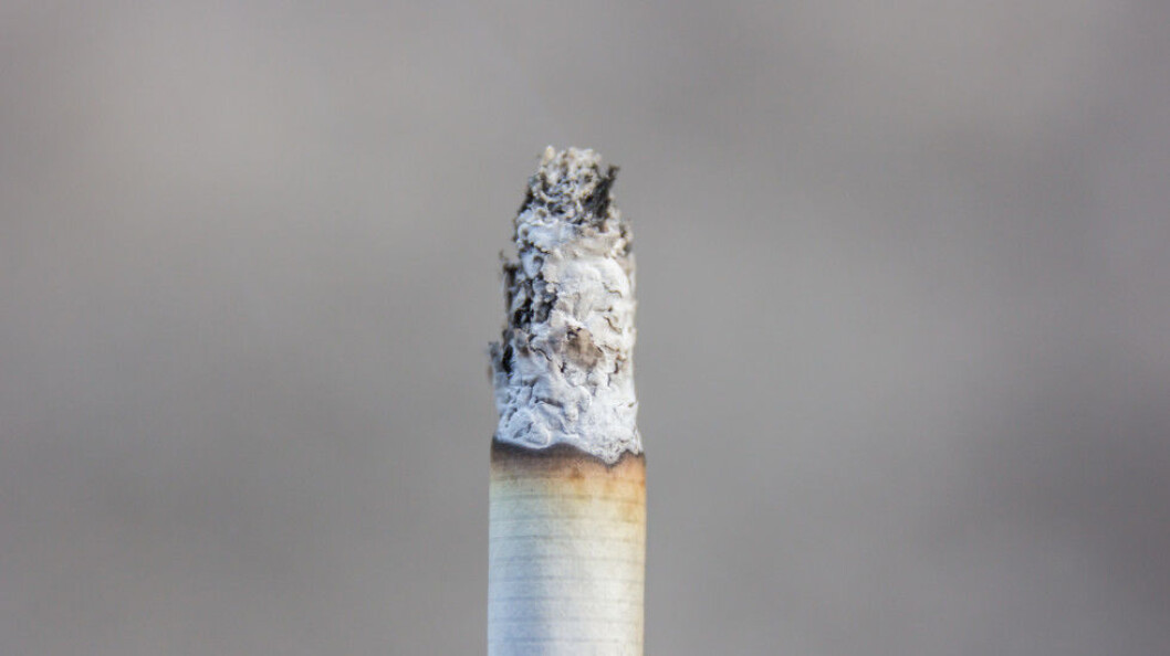Forskerne tror sigarettrøyken forårsaker en oppblomstring av mutasjoner i bakteriene. Noen av de muterte bakteriene blir mer motstandsdyktige mot antibiotika. (Ill.foto: Colourbox) Forskerne tror sigarettrøyken forårsaker en oppblomstring av mutasjoner i bakteriene. Noen av de muterte bakteriene blir mer motstandsdyktige mot antibiotika. (Ill.foto: Colourbox)