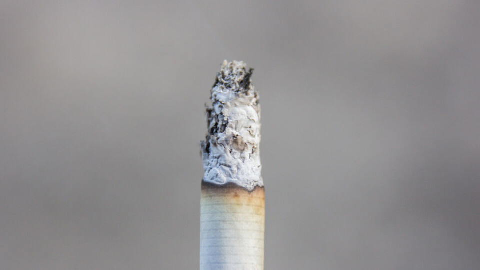 Forskerne tror sigarettrøyken forårsaker en oppblomstring av mutasjoner i bakteriene. Noen av de muterte bakteriene blir mer motstandsdyktige mot antibiotika. (Ill.foto: Colourbox) Forskerne tror sigarettrøyken forårsaker en oppblomstring av mutasjoner i bakteriene. Noen av de muterte bakteriene blir mer motstandsdyktige mot antibiotika. (Ill.foto: Colourbox)