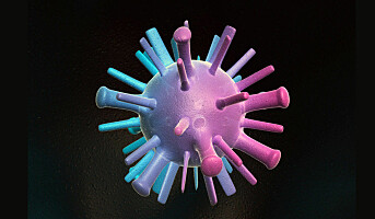 Hvem er mest sårbar overfor influensa?