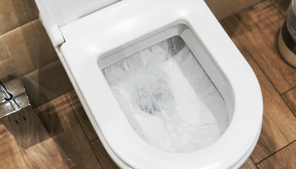 Det bør ideelt sett skylles ned daglig i toaletter og urinaler.