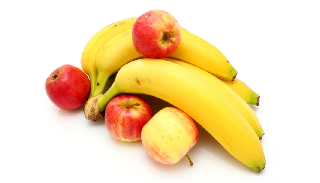 Nei, kommunene er slett ikke like ulike som epler og bananer, mener Terje Dalgård. Når vi nå for alvor står foran å digitalisere eiendomsdriften, er det viktig at ikke hver og én finner opp kruttet på nytt. Nei, kommunene er slett ikke like ulike som epler og bananer, mener Terje Dalgård. Når vi nå for alvor står foran å digitalisere eiendomsdriften, er det viktig at ikke hver og én finner opp kruttet på nytt.