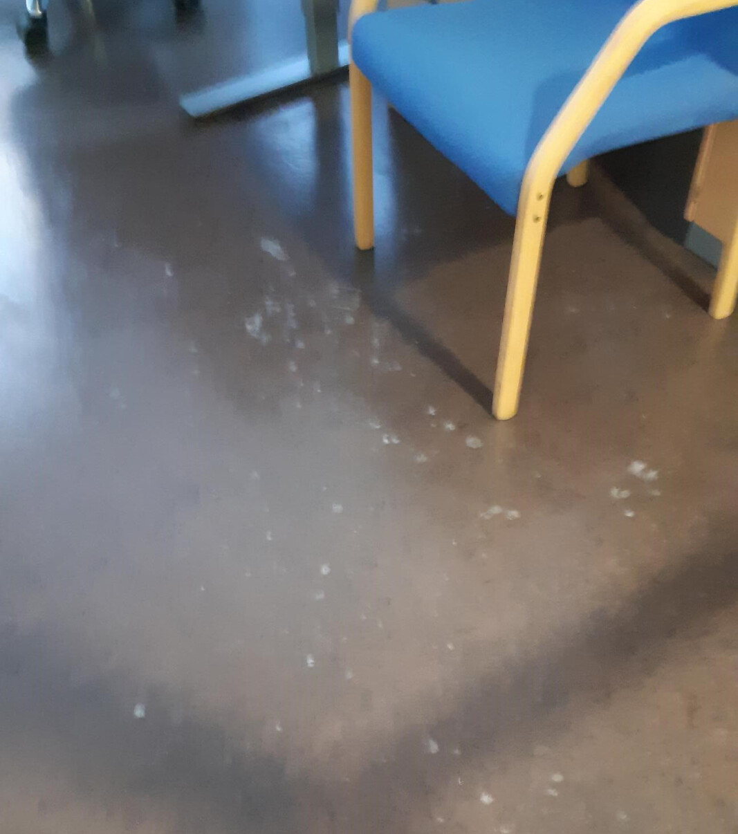 Det kan være en komplisert affære å fjerne spritflekkene når de først har tørket. Det kan være en komplisert affære å fjerne spritflekkene når de først har tørket.